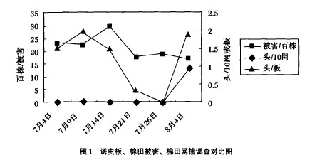 D1TxﱻW{錦ȈD